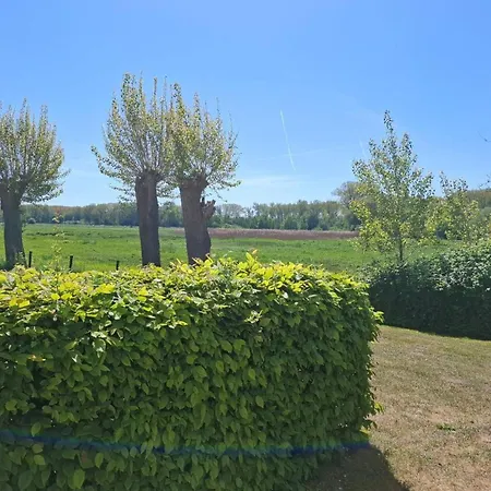 Haffblick Whg Ha21 * Boltenhagen (Ostseebad)